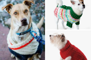 Crochet Dog Sweater Compilation: 13 Free Patterns