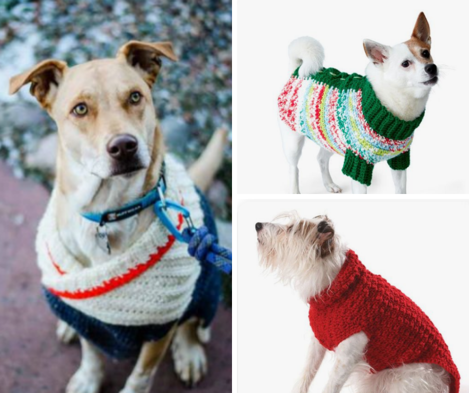 crochet dog sweater compilation of free patterns