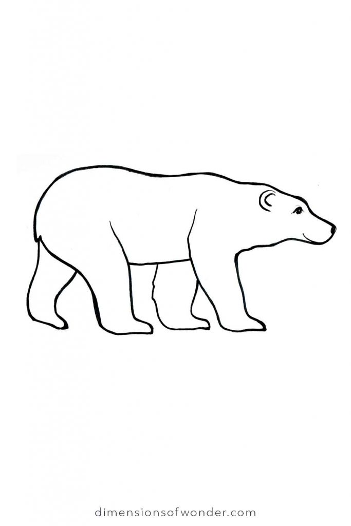 realistic-polar-bear