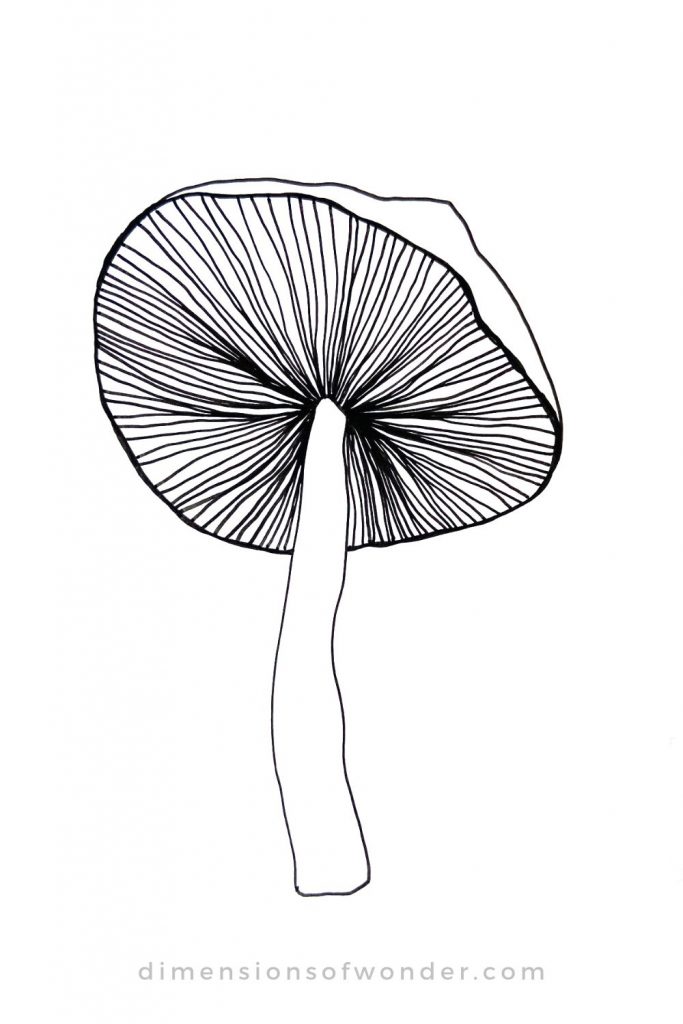 large mushroom drawing