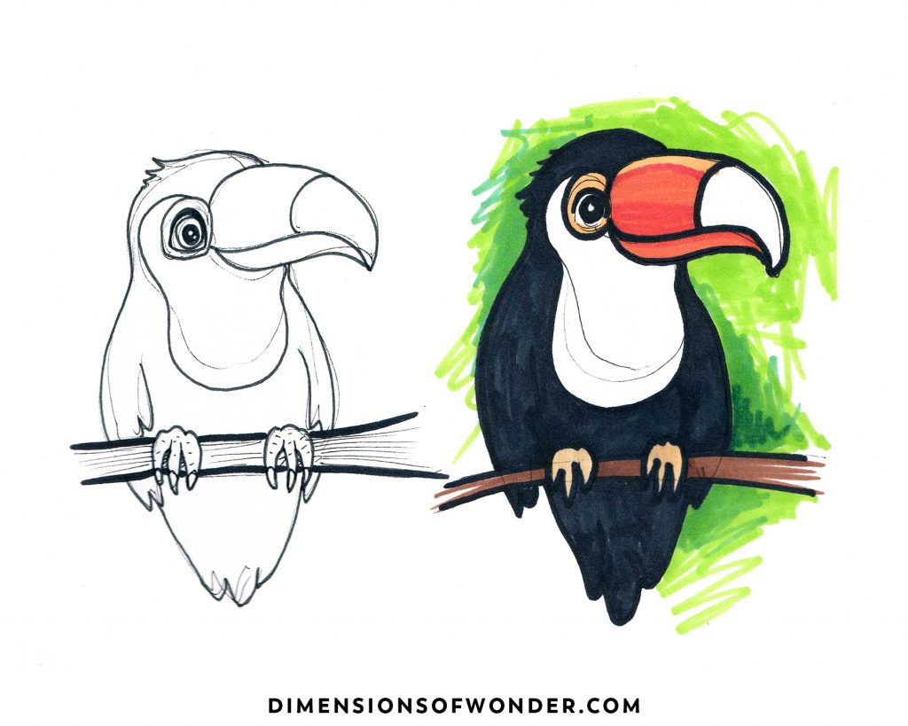 cute toucan drawing