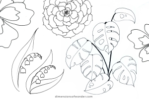 Easy Plants to Draw: 10 Fun Botanical Examples