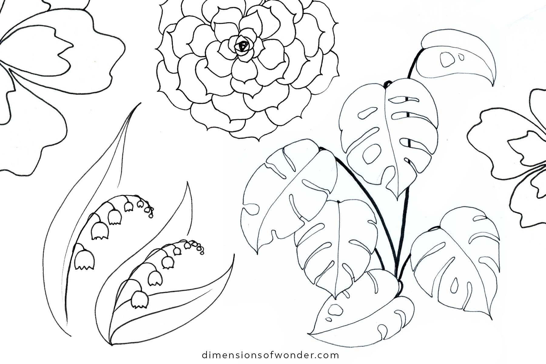 easy plants to draw