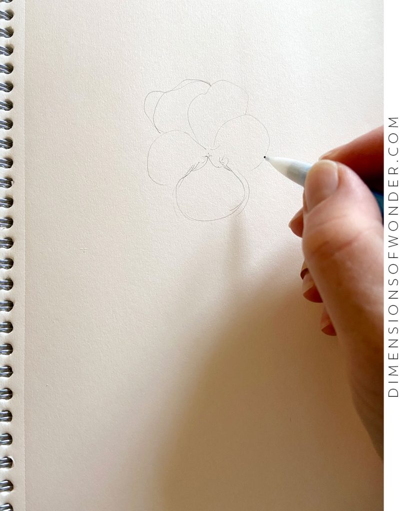 how to draw a violet tutorial step-1