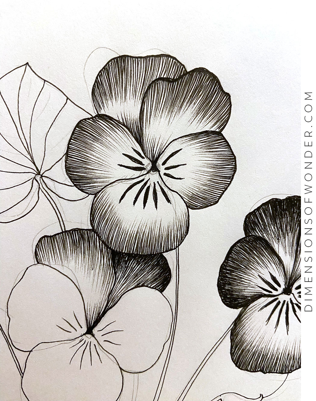 How To Draw A Violet Flower