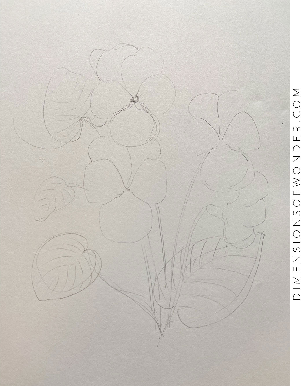 How To Draw A Violet Flower