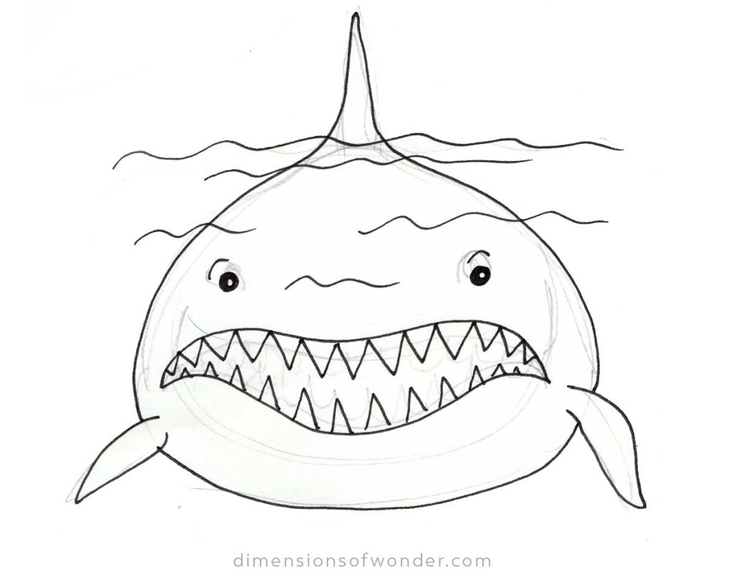 megalodon-or-great-white-shark-drawing