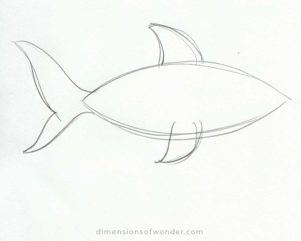 shark-pencil-drawing-step-4