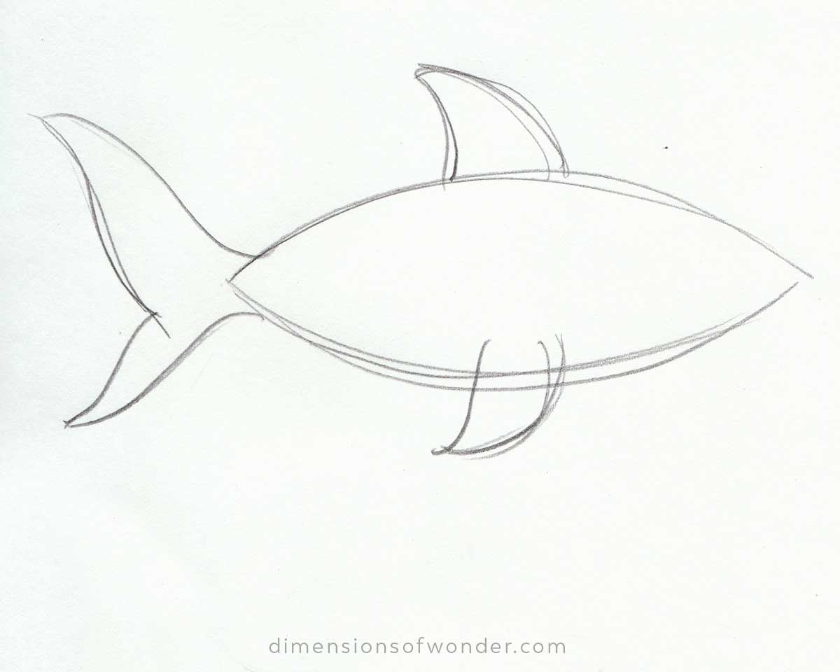 Shark Pencil Drawing Step-by-Step Tutorials [Cute & Realistic]
