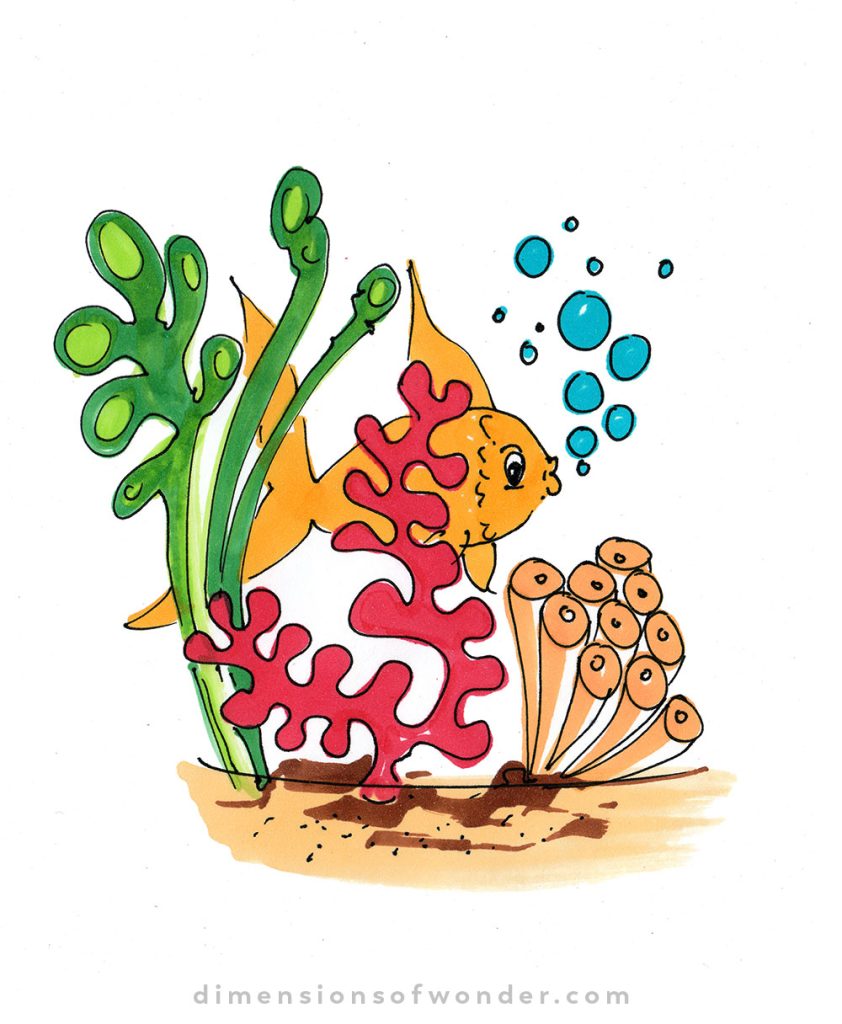 Whimsical-drawing-ideas-coral-reef